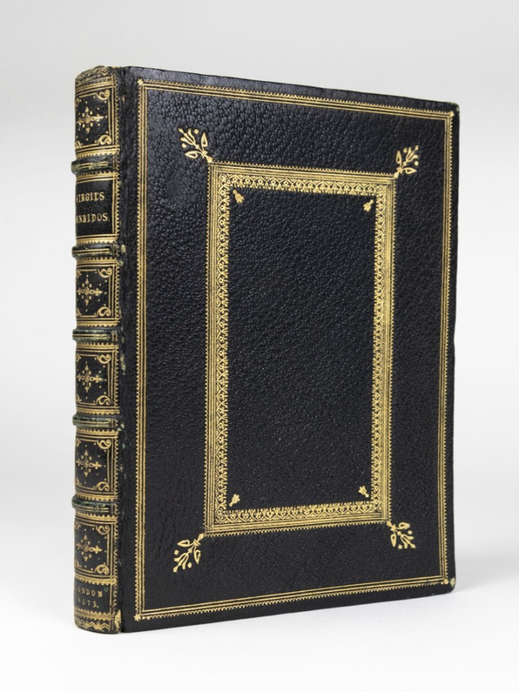 image of virgil binding at 3/4