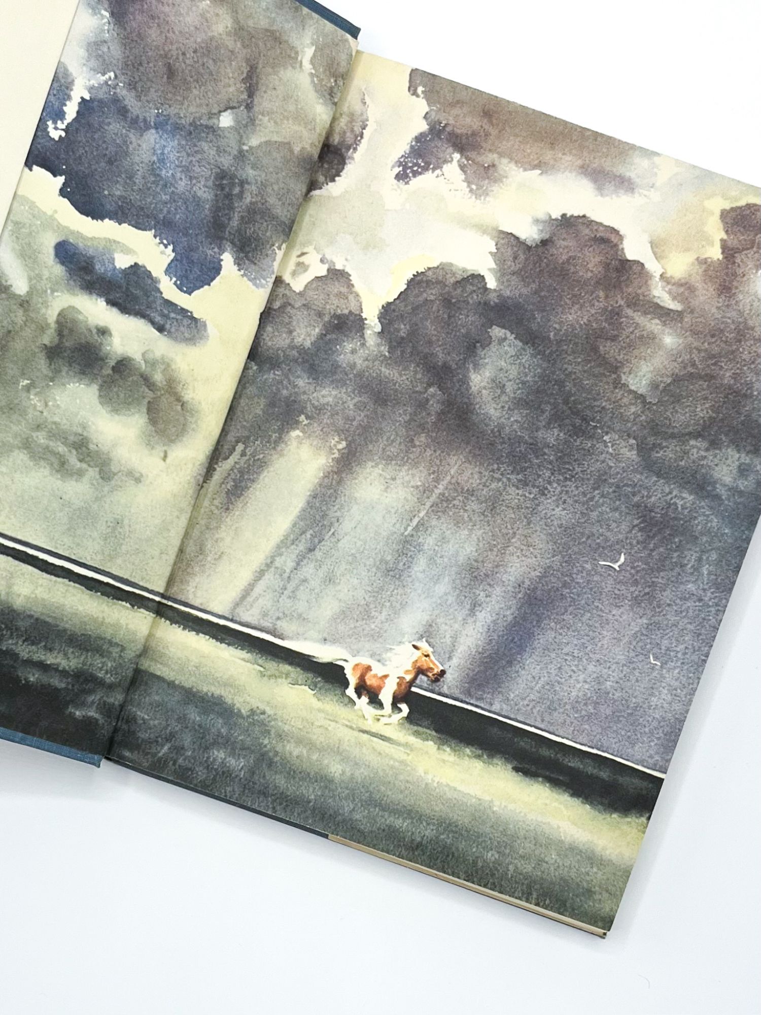 MISTY OF CHINCOTEAGUE | Marguerite Henry, Wesley Dennis | First edition